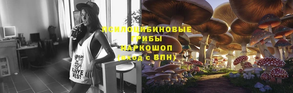бошки Армянск