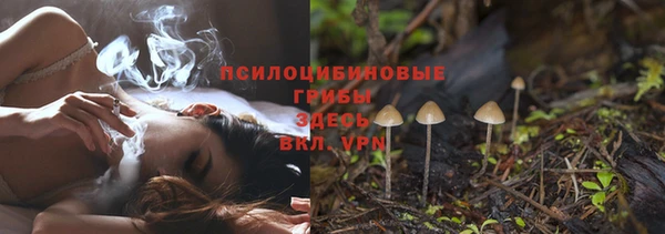 бошки Армянск