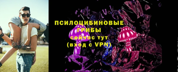 бошки Приозерск