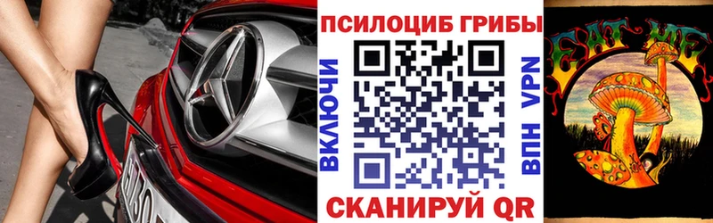 что такое   Соликамск  Псилоцибиновые грибы Magic Shrooms 